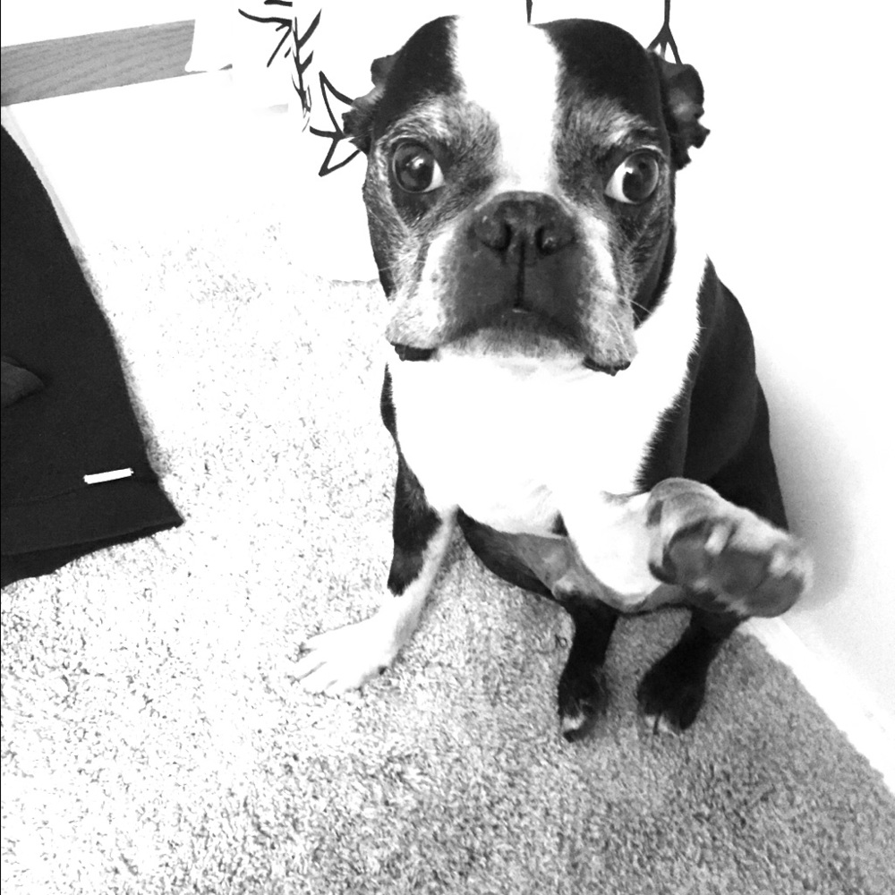 Meet your Posher, Jerrin